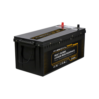 24V recarregável 60Ah para substituir a caixa do ABS da bateria acidificada ao chumbo para a empilhadeira elétrica EV
